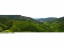 Terrasses de Riz, Banaue, Philippines