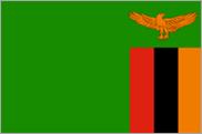 Zambie